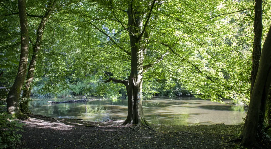 Lampton Parkside - Local Area 017