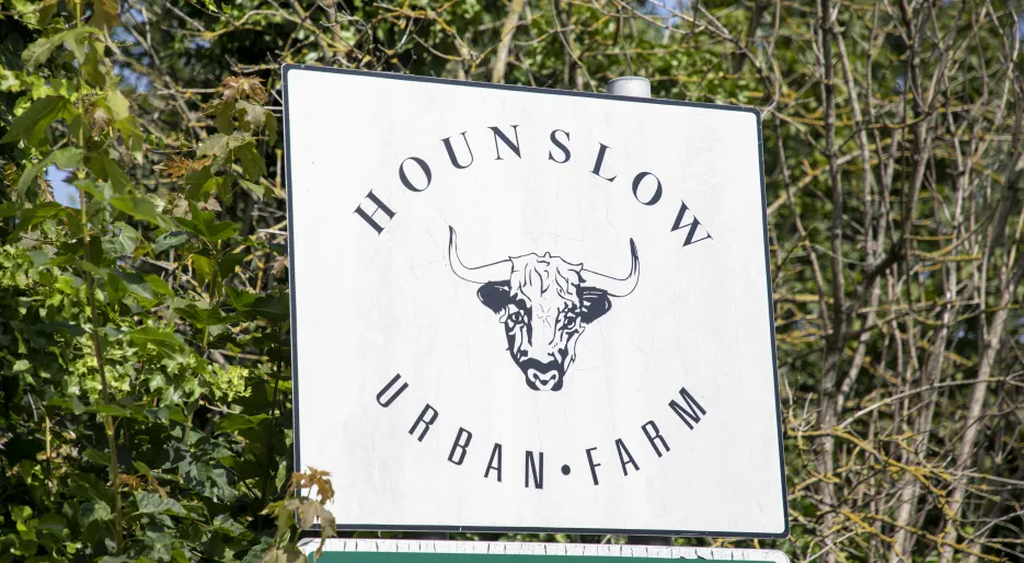 Hounslow Urban Farm
