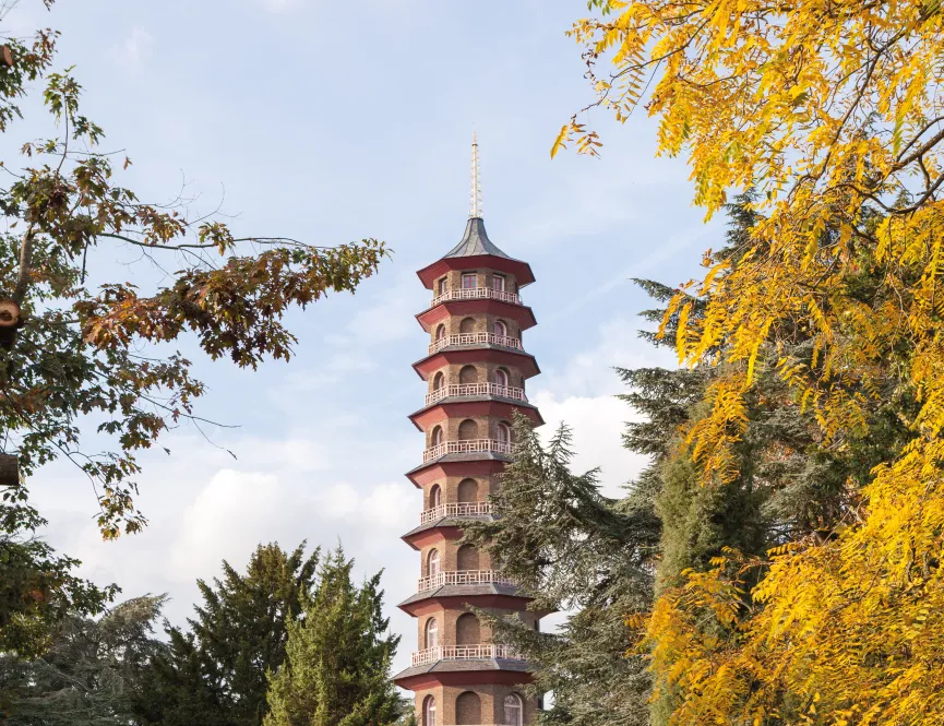 Lampton Local Area Shoot 