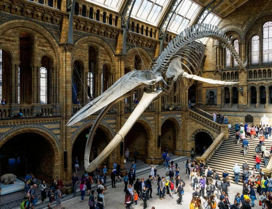 Natural history Museum 